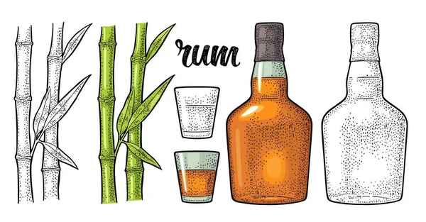 玻璃和一瓶朗姆酒与甘蔗。雕刻 — 图库矢量图片