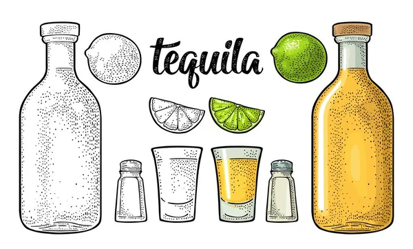Glass and botlle of tequila. Cactus, salt, lime — Stock Vector