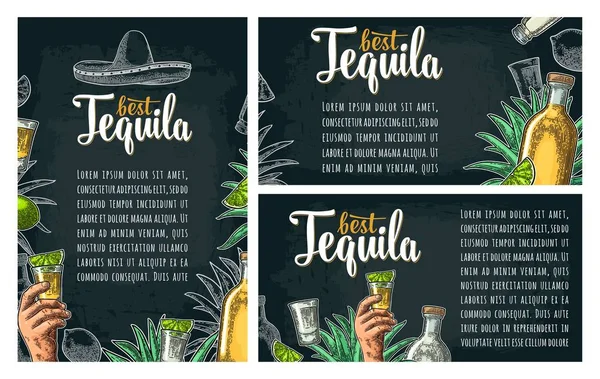 Affiche avec main tenant verre, bouteille, sel, agave, citron vert — Image vectorielle