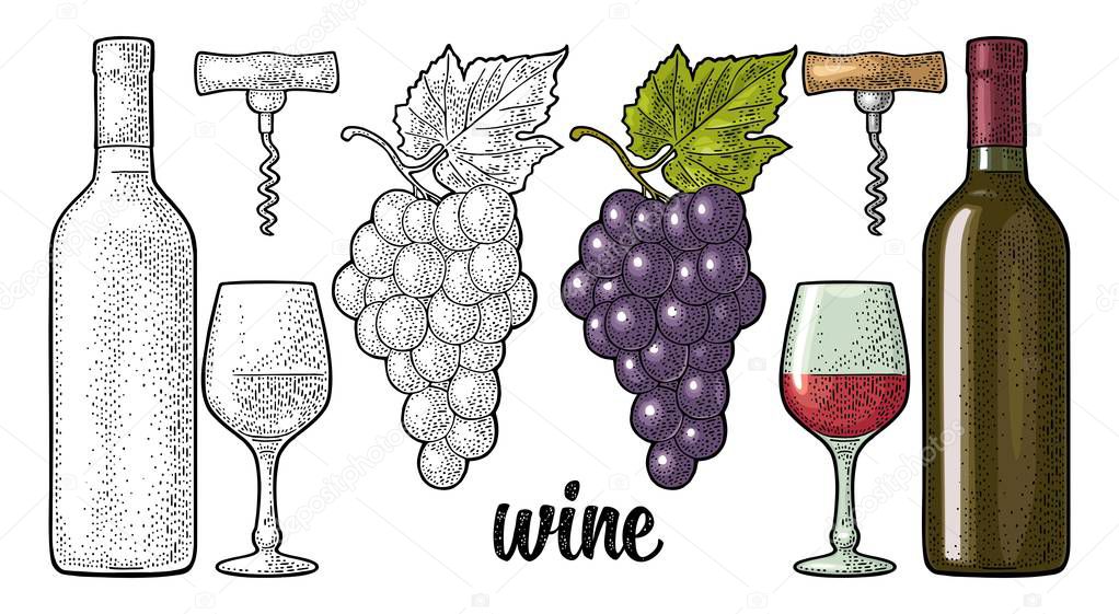 Wine set. Bottle, glass, corkscrew, bunch of grapes. Engraved