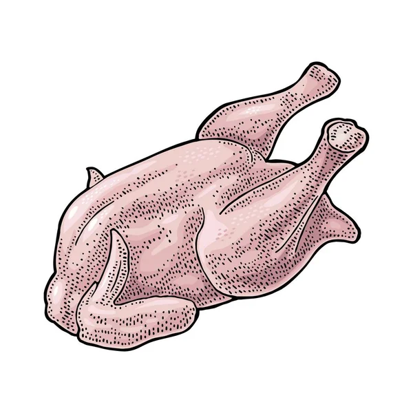 Hela Kyckling Vintage Färg Gravyr Illustration För Affisch Och Etikett — Stock vektor