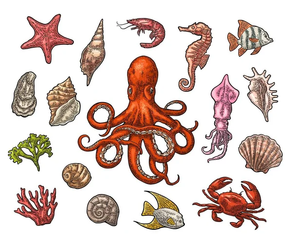 7,696 Octopus sketch Vector Images, Royalty-free Octopus sketch Vectors ...
