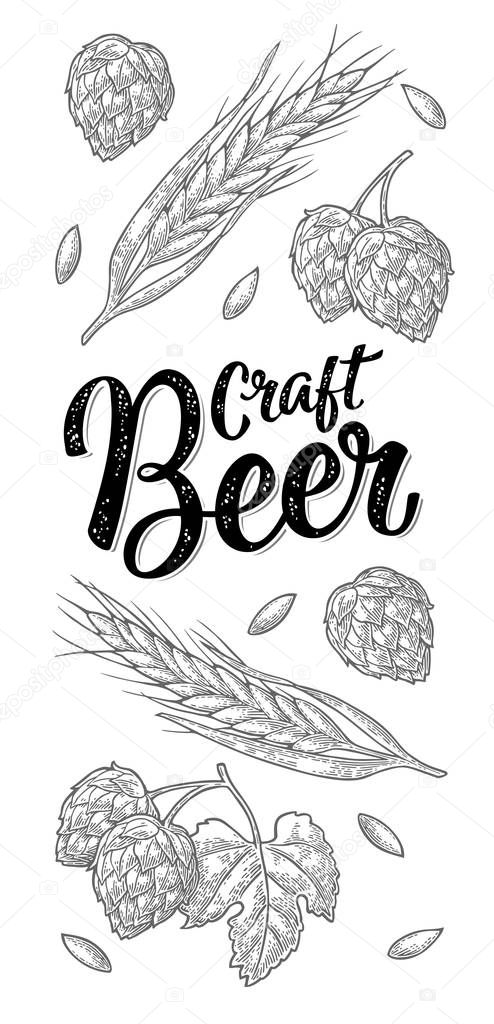Vertical poster with ears of barley, leaves and cones of hops. Craft Beer handwriting calligraphic lettering. Vector vintage black engraving illustration. Isolated on white background.