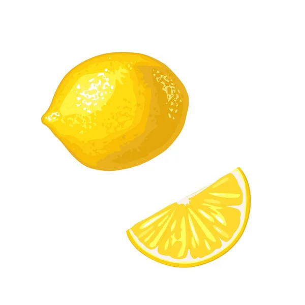 レモン スライスと全体 白い背景上に分離 ベクター カラー フラット図 — ストックベクタ