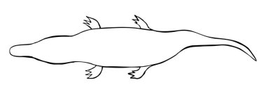 Timsah. Siyah vektör çizimler. Beyaz arka plan üzerinde izole. Elle çizilmiş tasarım öğesi web ve poster için