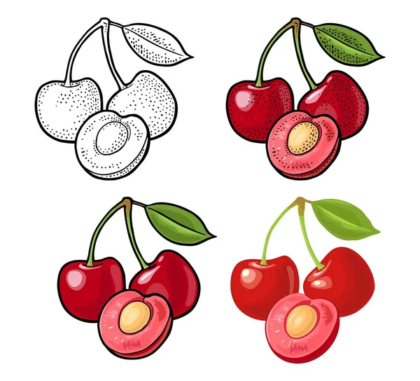 Hela Och Halva Cherry Berry Med Frö Och Blad Vector — Stock vektor