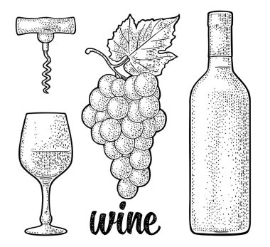 Şarap el yazısı yazı ile ayarla. Şişe, cam, tirbuşon, berry ve yaprak ile üzüm demet. Vintage vektör oyma siyah illüstrasyon izole beyaz arka plan üzerinde. Etiket poster için web.