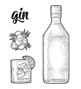 Glass, bottle and branch of Juniper with berries. Handwriting lettering gin. Vintage vector black engraving illustration for label, poster, web. Isolated on white background clipart