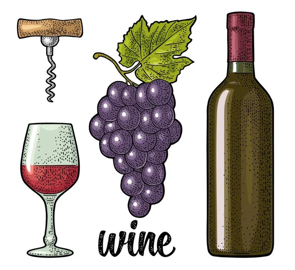 Wine Set Handwriting Lettering Bottle Glass Corkscrew Bunch Grapes Berry — Stock Vector