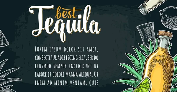 Cartaz Horizontal Com Vidro Garrafa Sal Agave Lima Fatia Melhores — Vetor de Stock