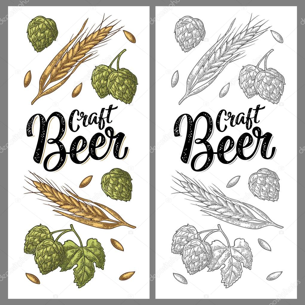 Vertical poster with ears of barley, leaves and cones of hops. Craft Beer handwriting calligraphic lettering. Vector vintage color engraving illustration. Isolated on white background.