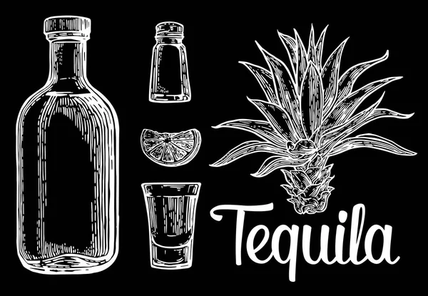 Vidrio, botella de tequila, cactus, sal, lima — Vector de stock