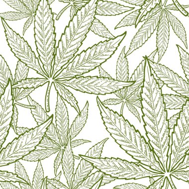 Marihuana yaprağıyla kusursuz desen. Klasik siyah vektör gravür çizimi
