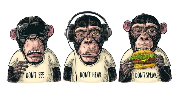 Três Macacos Sábios Fones Ouvido Fone Ouvido Realidade Virtual Hambúrguer — Vetor de Stock