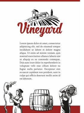 Kadın ve erkek bağ üzüm hasat. Vintage vektör siyah çizim oyma. Beyaz arka plan üzerinde izole.