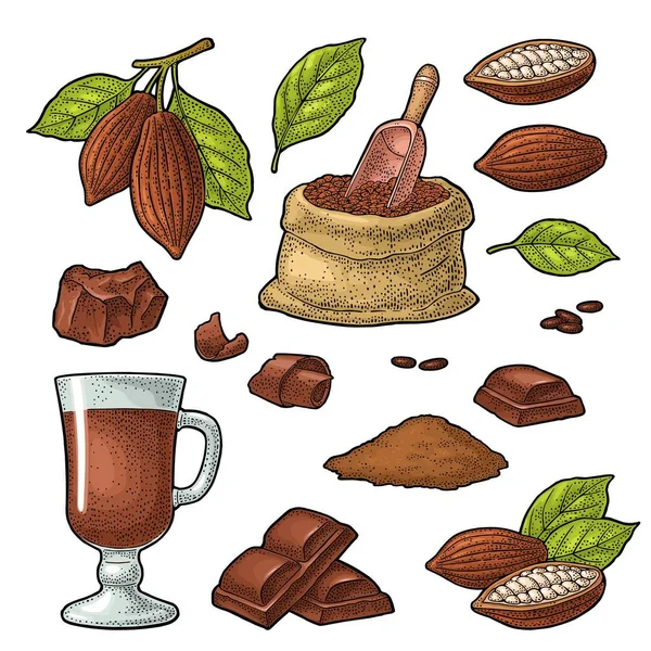 Schokoladenstück Riegel Rasur Früchte Aus Kakao Mit Blättern Und Bohnen — Stockvektor
