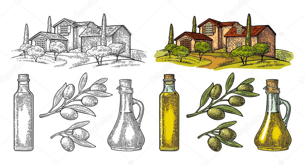 Set olive. Bottle and Jug glass of liquid with cork stopper and branch with leaves. Rural landscape with villa or farm with field, tree and cypress. Vector vintage color engraving on white background
