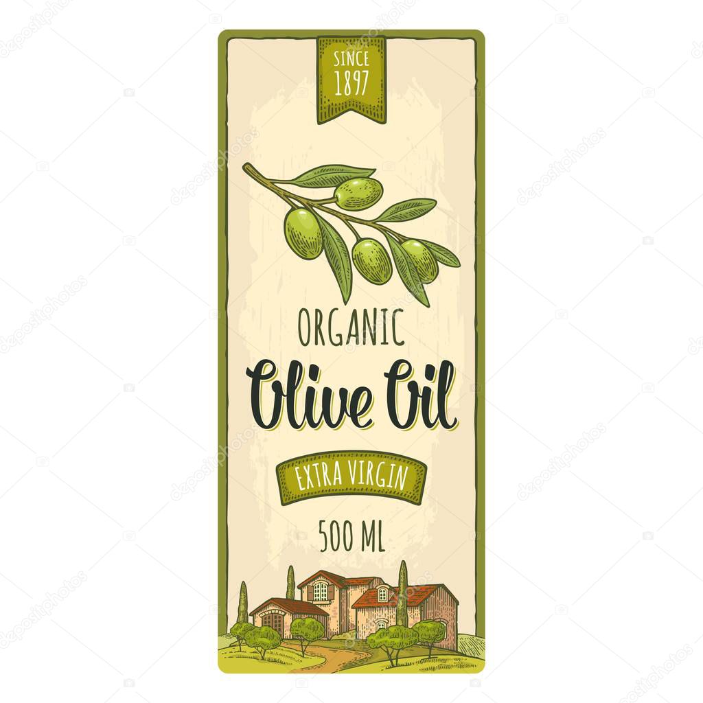 Template olive label. Branch with leaves. Rural landscape with villa or farm with field, tree and cypress. Vector vintage color engraving on beige background