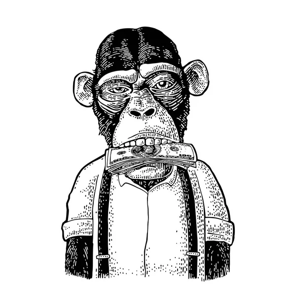 Macacos Com Dinheiro Boca Vintage Gravura Preta Ilustração Para Cartaz — Vetor de Stock