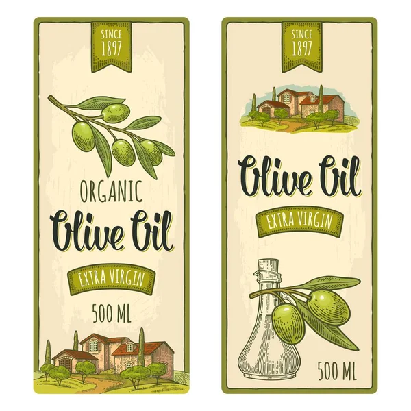 Set Label Olive Bottle Jug Glass Liquid Cork Stopper Branch — Stock Vector
