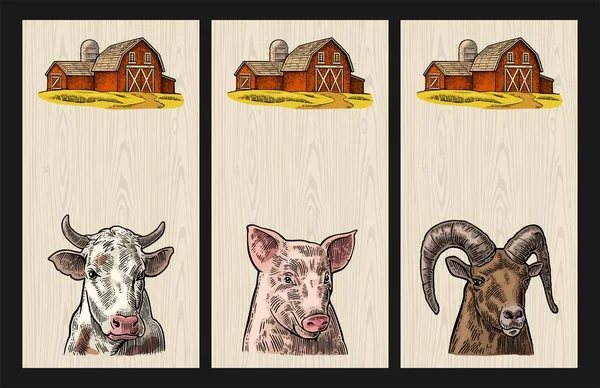 Juego Animales Granja Para Plantilla Póster Vertical Cabezas Cerdo Vaca — Vector de stock