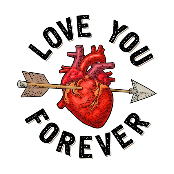 Arrow Pierced Heart Love You Forever Lettering Vector Black Color — Stock Vector
