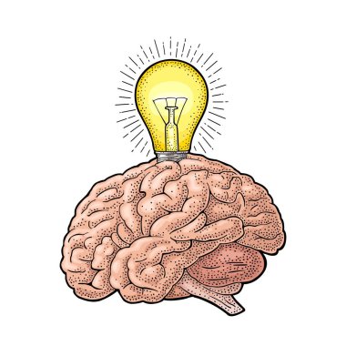 İnsan anatomisi beyin ve ray ile parlayan akkor ampul. Vektör renk vintage illüstrasyon izole beyaz bir arka plan üzerinde oyma. Elle çizilmiş tasarım öğesi etiket, poster, web, afiş için
