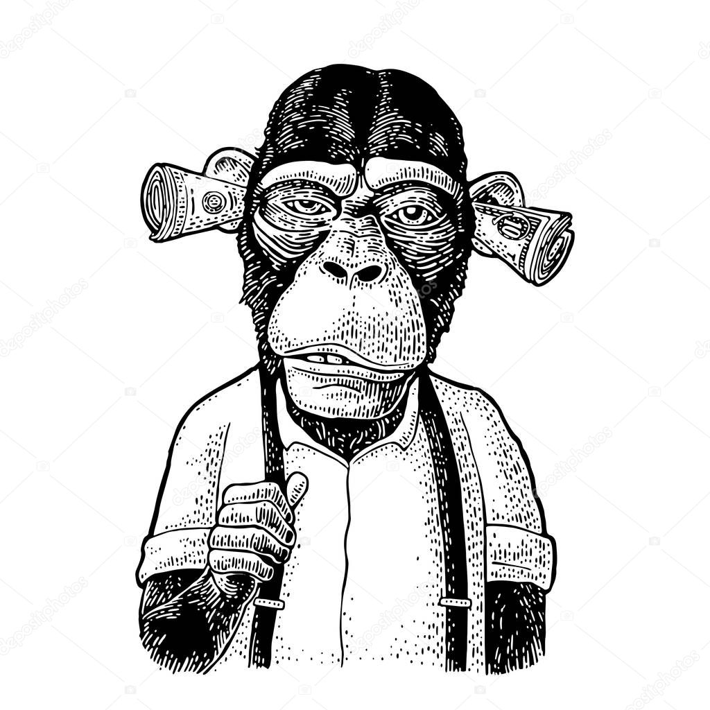 Monkeys with money on ears. Vintage black engraving illustration for poster, web, t-shirt, tattoo. Isolated on white background