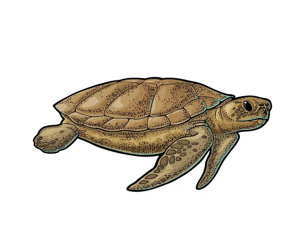 Elefantes Tortugas Sosteniendo Tierra Plana Grabado Vintage Vector Ilustración Color — Archivo Imágenes Vectoriales