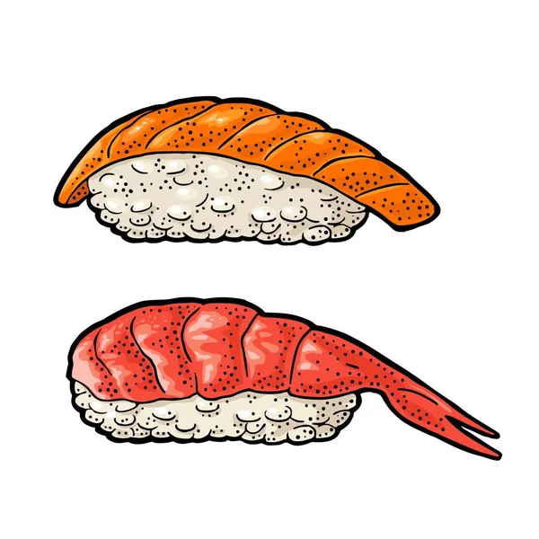 Νίγκιρι Σούσι Ψάρι Και Γαρίδες Απομονωμένα Λευκό Φόντο Vintage Χρώμα — Διανυσματικό Αρχείο