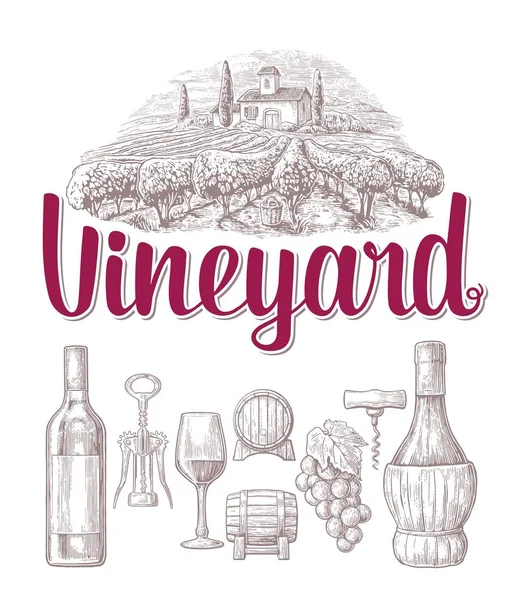 Şarap ayarlayın. Şişe, cam, tirbuşon, varil, üzüm bağı. Beyaz arka plan üzerinde izole siyah vintage oyulmuş vektör çizim. Etiket poster için web