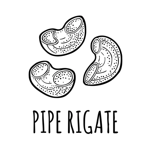 面食管 Rigate 矢量复古雕刻黑色插图在白色背景下隔离 手绘设计元素 — 图库矢量图片