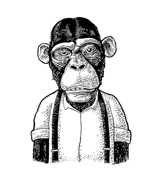 Scimmia Uomo Affari Vestito Con Camicia Bretella Illustrazione Incisione Nera — Vettoriale Stock