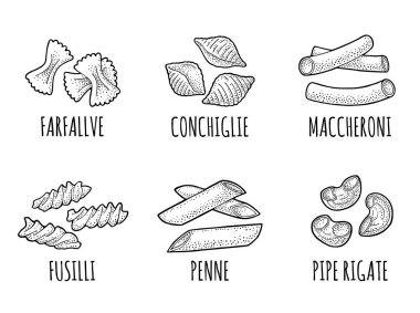 Makarna farklı tipleri ile ayarlayın. Farfalle, conchiglie, maccheroni, düdük, penne, boru rigate. Vektör vintage siyah illüstrasyon izole beyaz zemin üzerine oyma. Elle çizilmiş tasarım öğesi