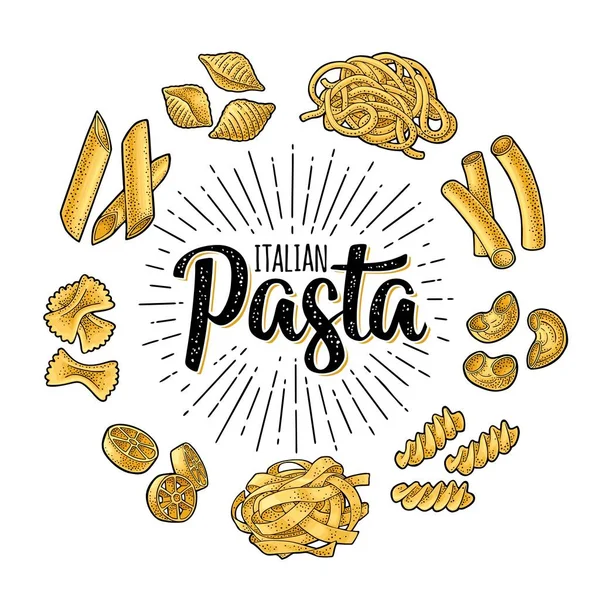 Différents Types Macaronis Italian Pasta Écriture Calligraphique Lettrage Farfalle Conchiglie — Image vectorielle