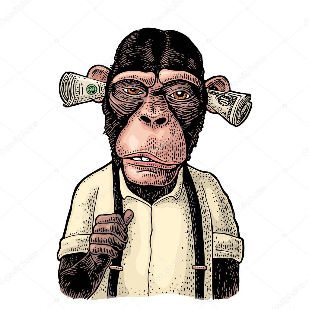 Monkeys with money on ears. Vintage color engraving illustration for poster, web, t-shirt, tattoo. Isolated on white background