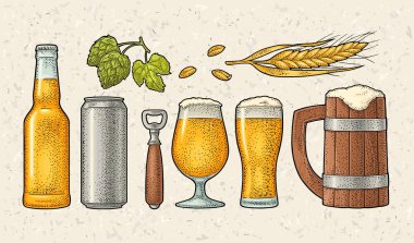 Ayarla ahşap kupa, cam, metal ile bira şişe, yaprak, kulak buğday bitki bitkiler hop. Vintage renk vektör illüstrasyon izole benekli arka plan üzerinde oyma. Etiket, ambalaj ve poster için