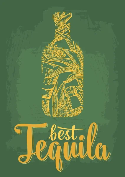 Botella Vidrio Cactus Sal Lima Las Mejores Letras Tequila Dibujo — Vector de stock