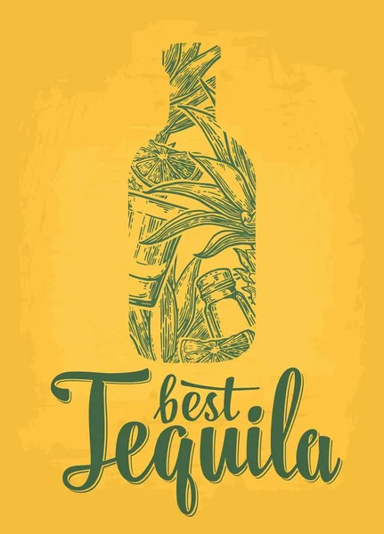 Bouteille Verre Cactus Sel Citron Vert Meilleur Lettrage Tequila Croquis — Image vectorielle