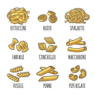 Makarna farklı tipleri ile ayarlayın. Farfalle, conchiglie, maccheroni, düdük, penne, boru rigate, fettuccine ruote spagetti. Vektör vintage renk illüstrasyon izole beyaz zemin üzerine oyma