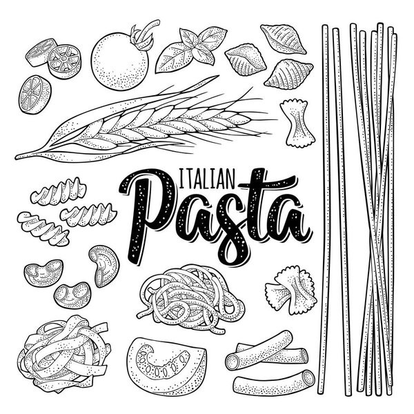 Different types macaroni and ITALIAN PASTA lettering. Farfalle, conchiglie, maccheroni, fusilli, penne, pipe, spaghetti, ruote, fettuccine, tomato, ear wheat. Vector vintage color and black engraving