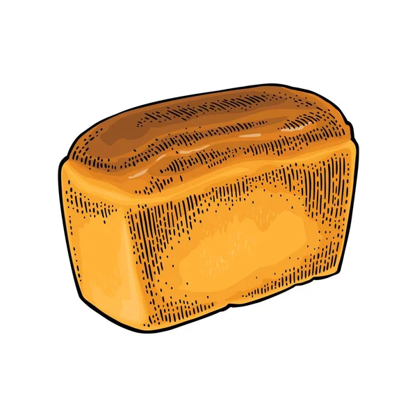 Um pedaço de pão. Vector cor mão desenhada gravura vintage —  Vetores de Stock