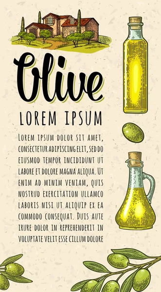 Vertical Template Menu Poster Label Olive Oil Bottle Jug Branch — Stock Vector