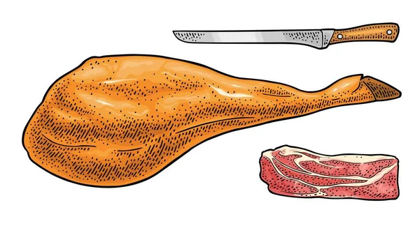 Uma Fatia Jamon Porco Inteiro Vector Cor Vintage Gravura Ilustração — Vetor de Stock