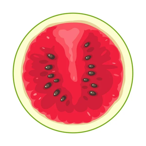 Slice Watermelon Isolated White Background Vector Flat Color Illustration — Stock Vector