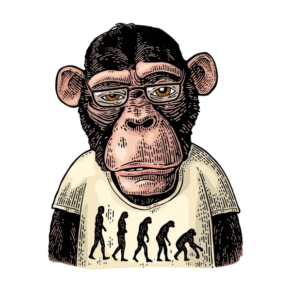 Monkeys dressed in a T-shirt with the theory of evolution on the contrary. — Stock Vector