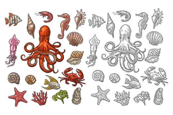 Set hewan laut. Shell, karang, kepiting, udang, bintang, ikan, gurita - Stok Vektor