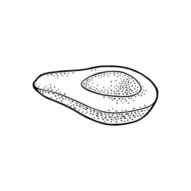 Bütün ve yarım Avokado tohum ile. Gösterim amacıyla menü, oyma vektör siyah vintage poster. Beyaz arka plan üzerinde izole