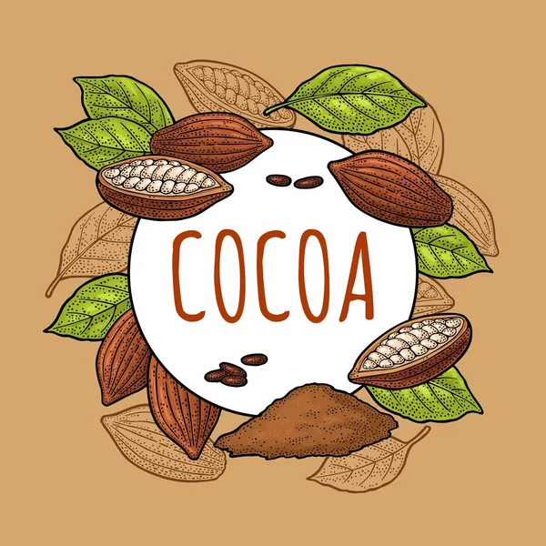 Frutta Cacao Con Foglie Fagioli Illustrazione Incisione Nera Vintage Vettoriale — Vettoriale Stock