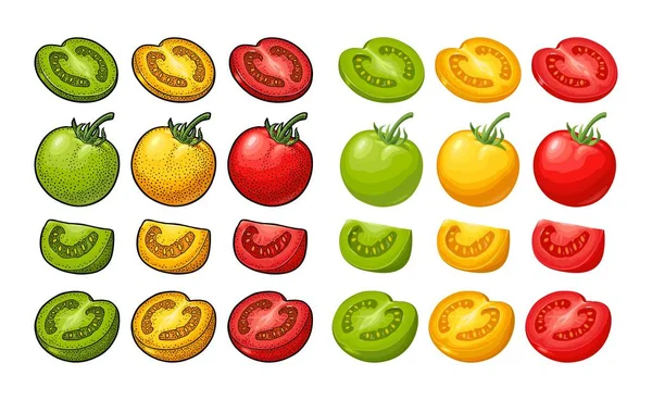 Set Tomates Dibujados Mano Aislados Sobre Fondo Blanco Rama Entera — Vector de stock